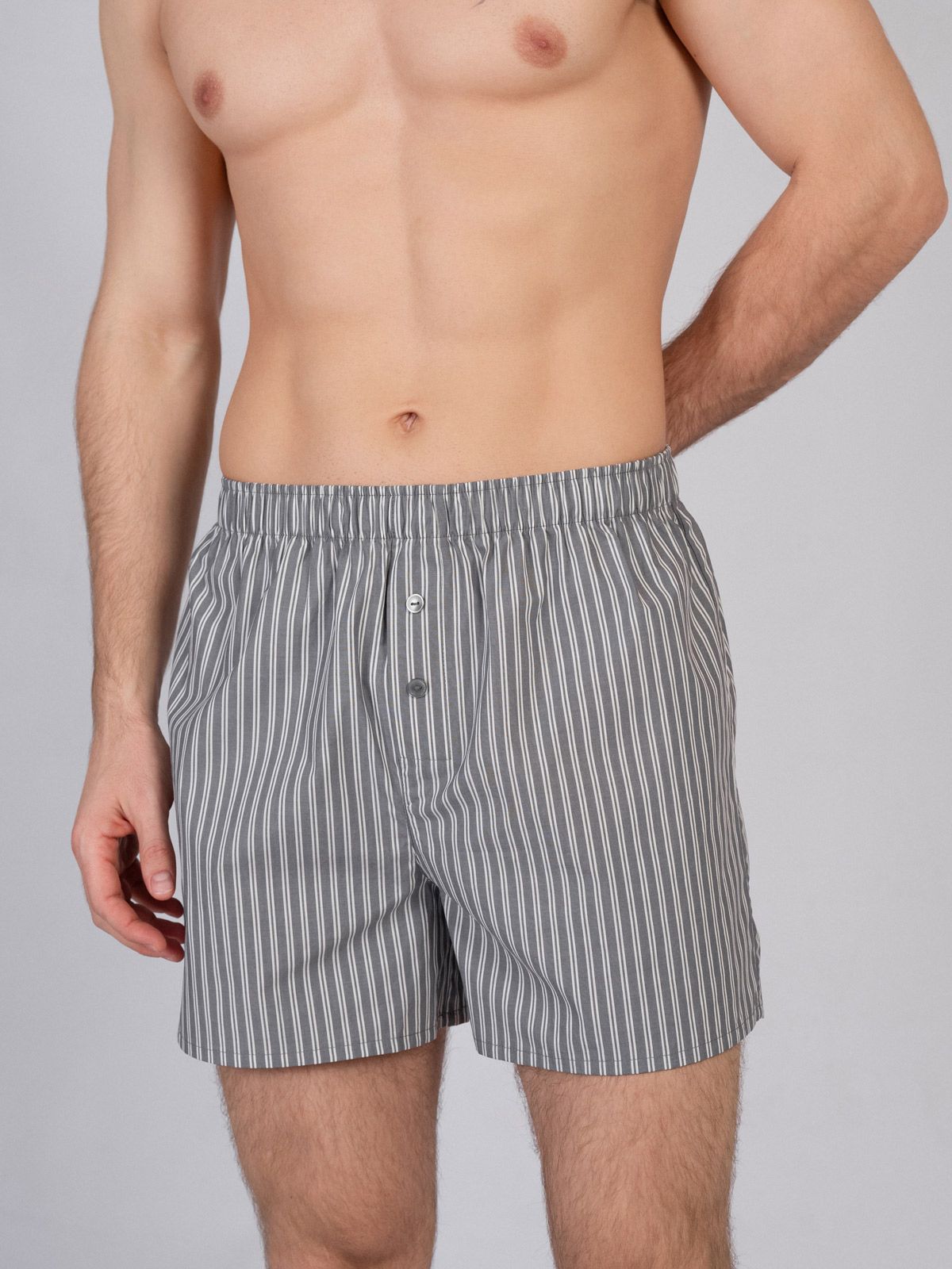 Мужские шорты Indefini (Арт. 4031PDK)