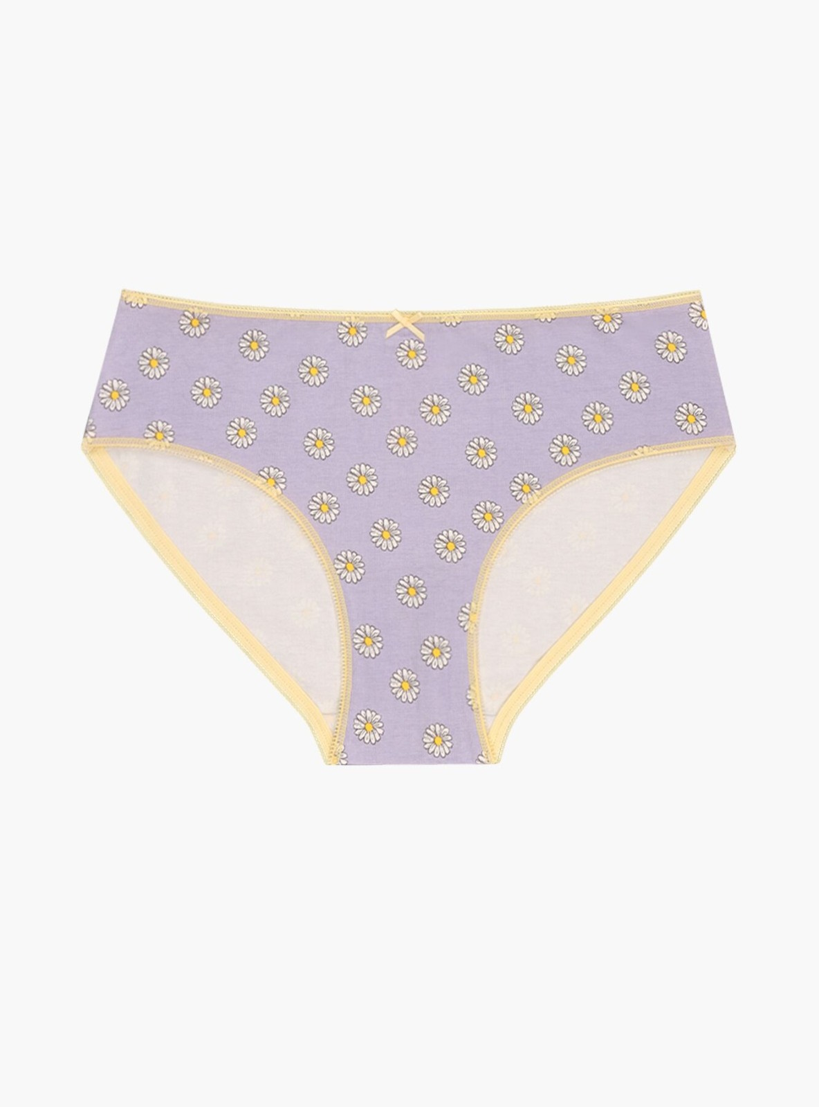 Трусы слипы из хлопка  Indefini (Арт. 3085LUF)