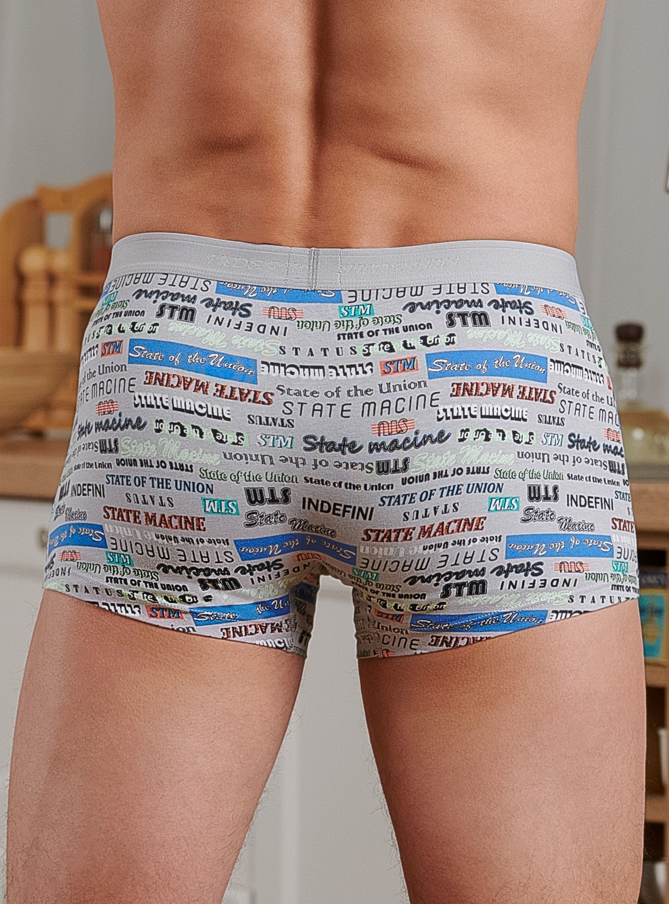 Трусы боксеры из хлопка серые с принтом Indefini (Арт. 3007MUF)