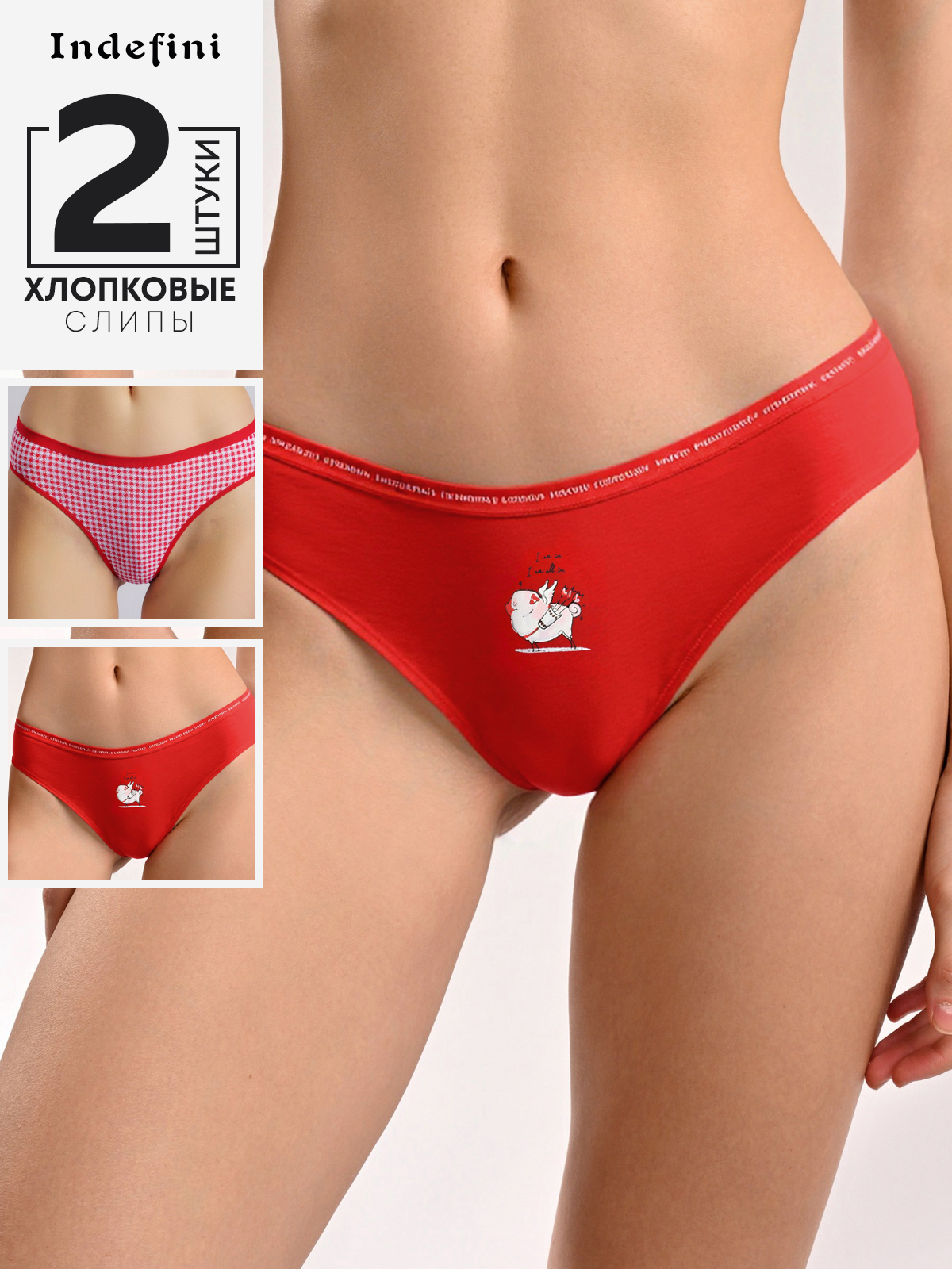 Набор женских трусов слипы (2 пары) 5201LUFZ